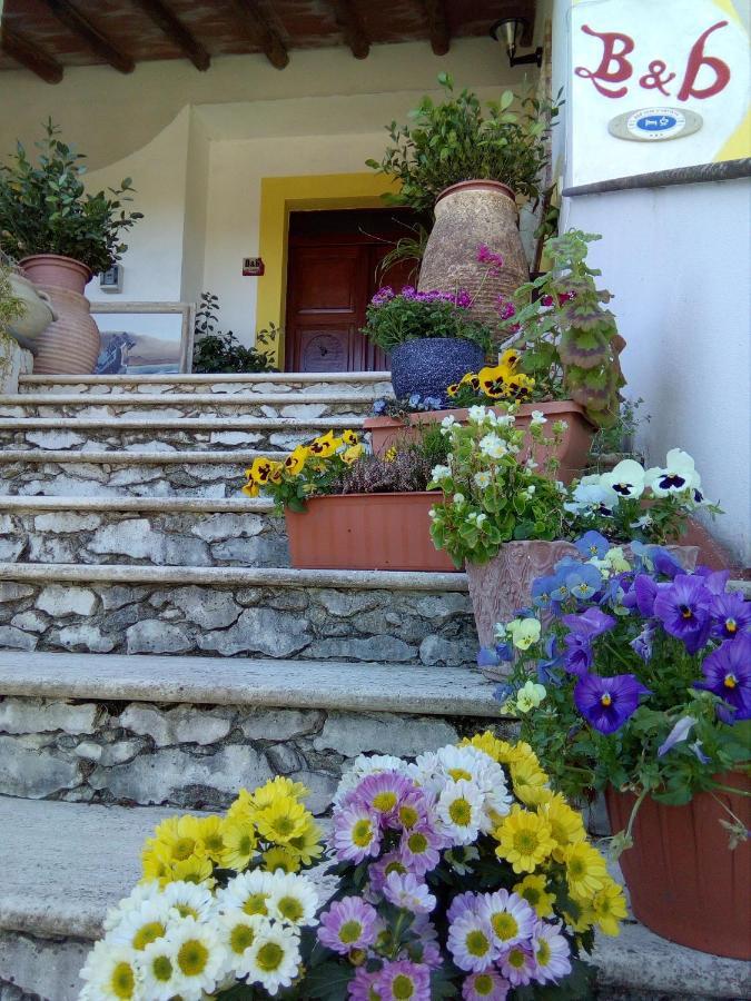Casa D' Artista B&B Ozieri Exterior photo