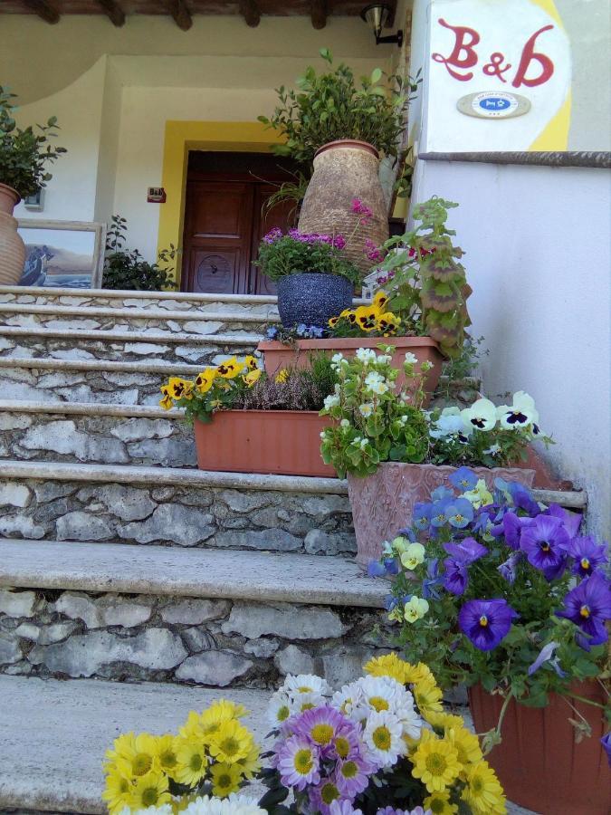 Casa D' Artista B&B Ozieri Exterior photo