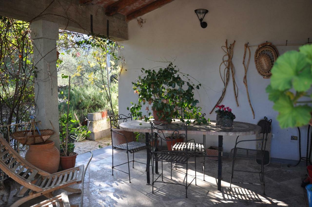 Casa D' Artista B&B Ozieri Exterior photo