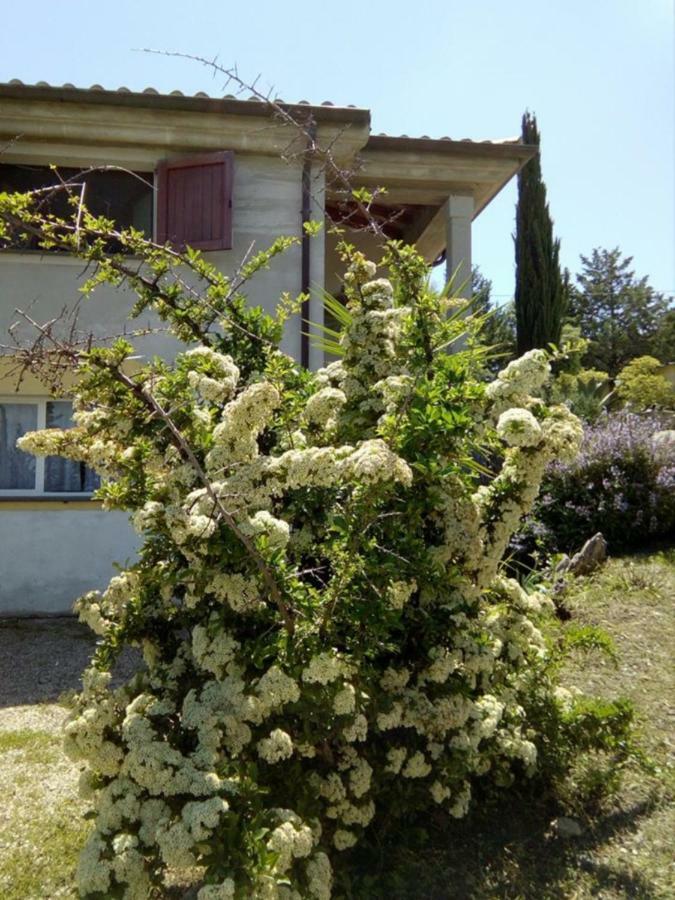 Casa D' Artista B&B Ozieri Exterior photo