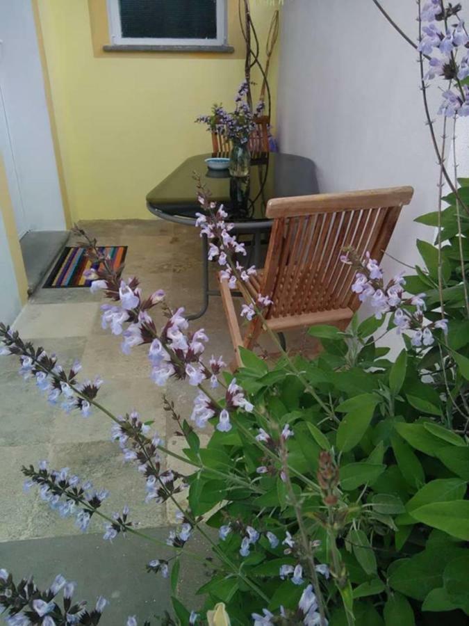 Casa D' Artista B&B Ozieri Exterior photo