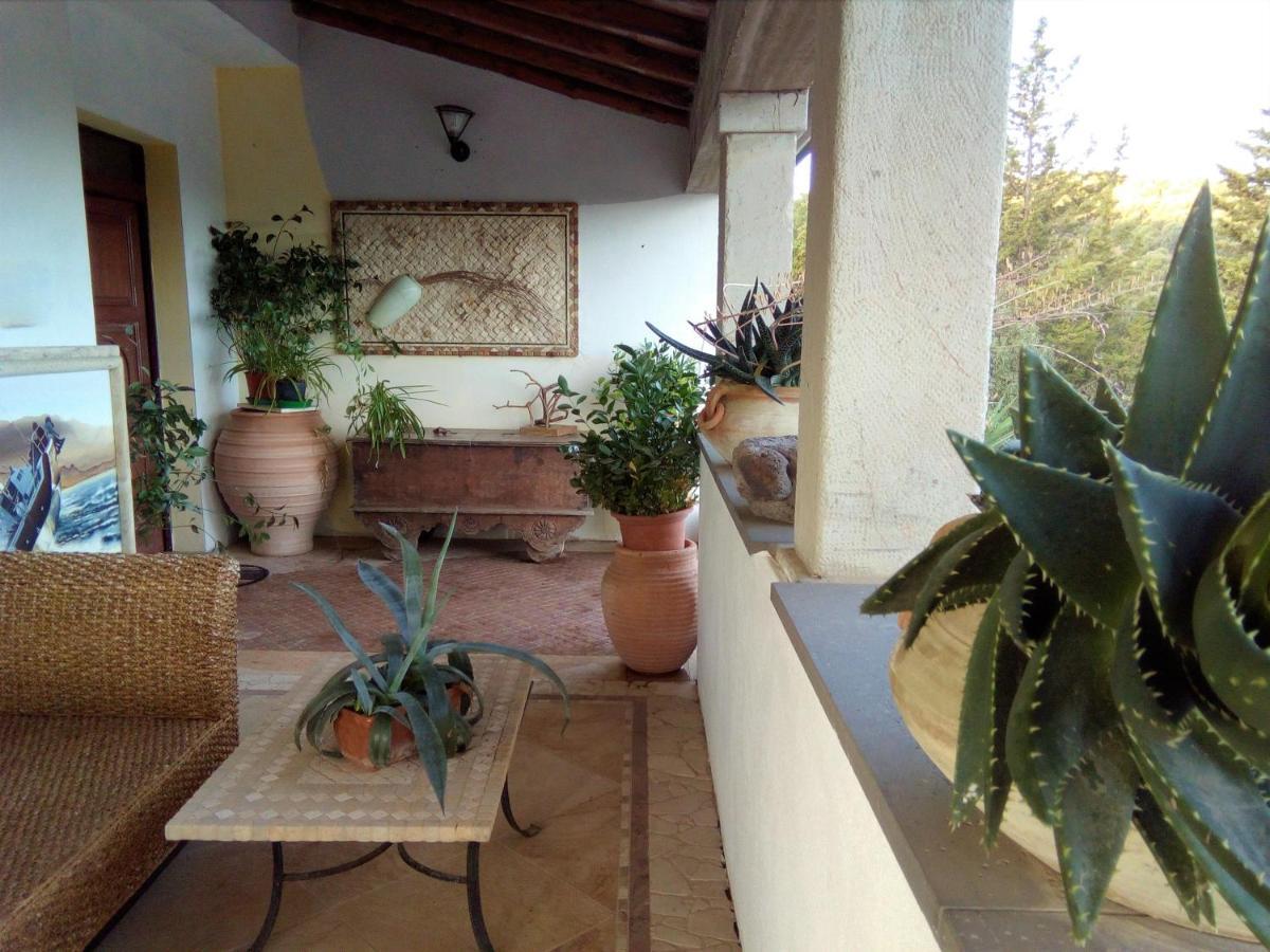 Casa D' Artista B&B Ozieri Exterior photo